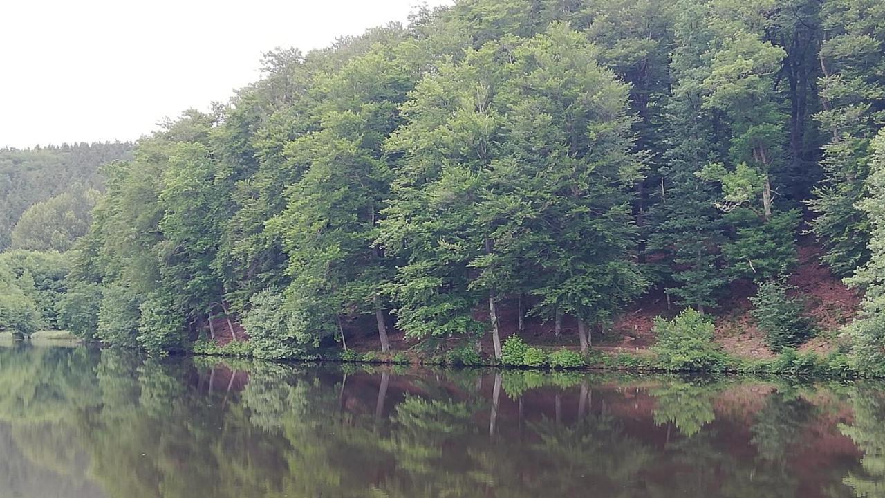 Eifel-Ferienhaus Marga Prüm Exteriér fotografie